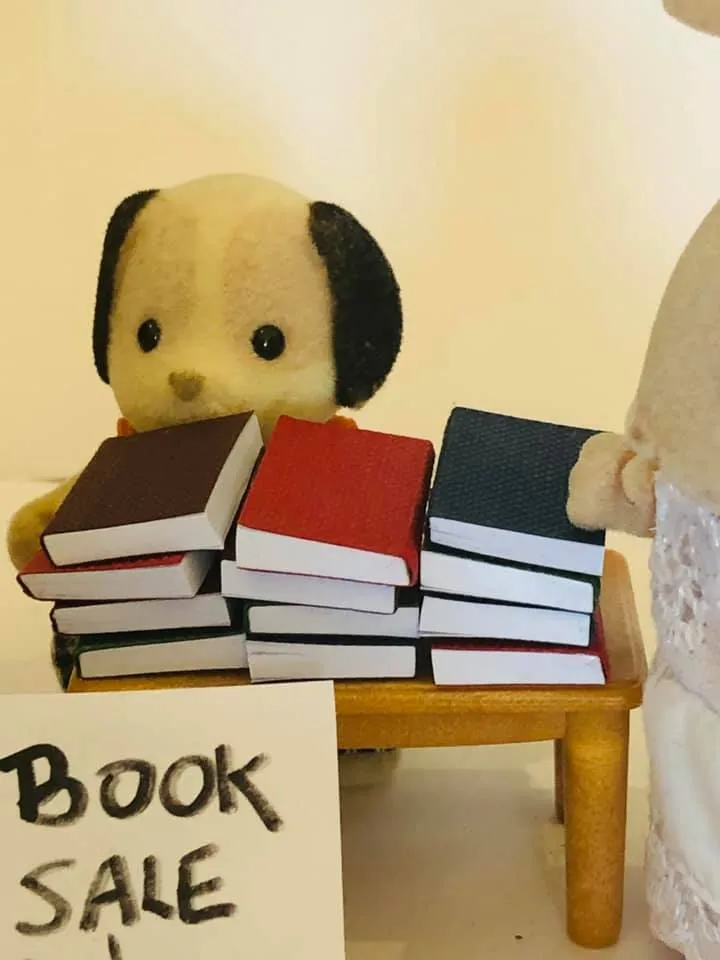 Books x 12