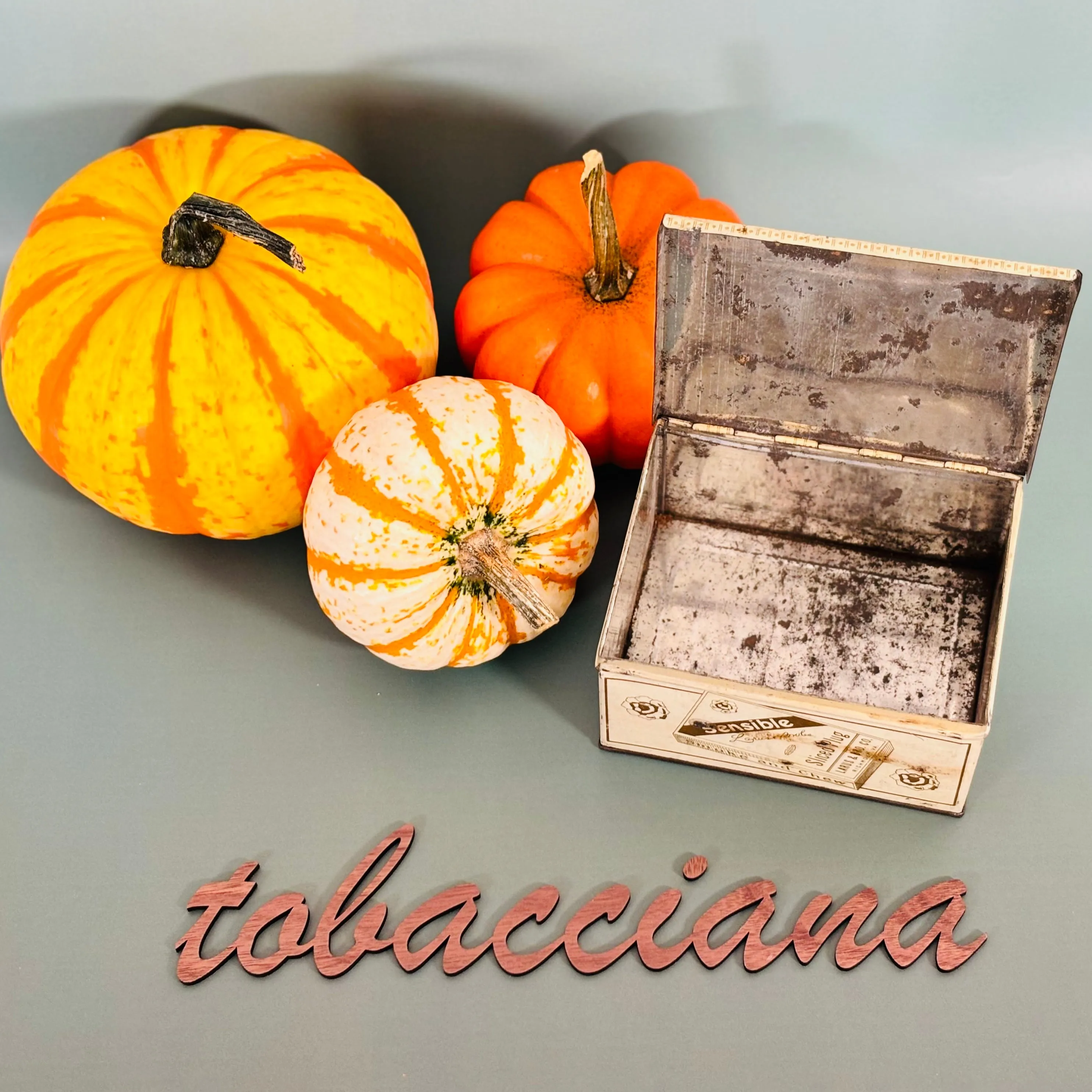 Circa Early 1900's Tobacciana -  Sensible Sliced Plug Tin - Larus and Bro. Co