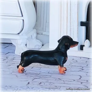 Dachshund Dog - Standing - Miniature