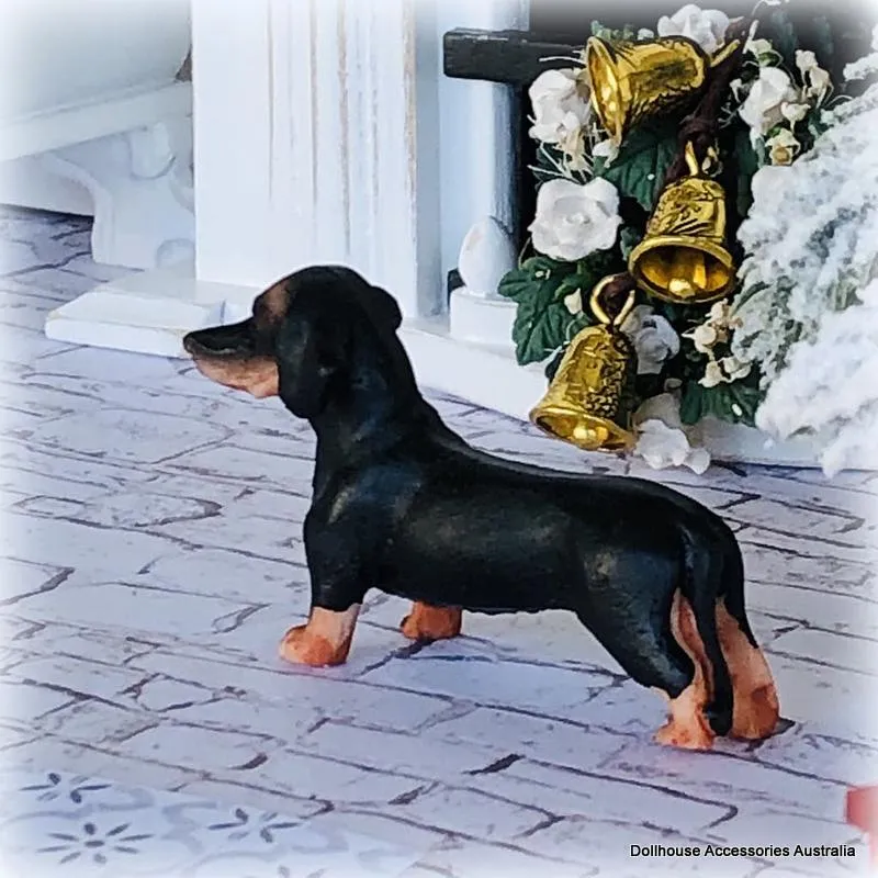 Dachshund Dog - Standing - Miniature