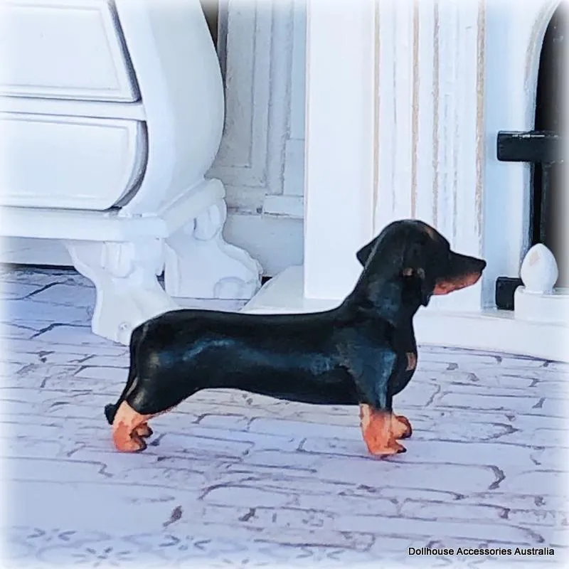 Dachshund Dog - Standing - Miniature