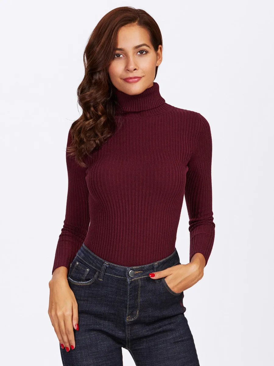 Rolled Neck Ribbed Knit Fitting Sweater