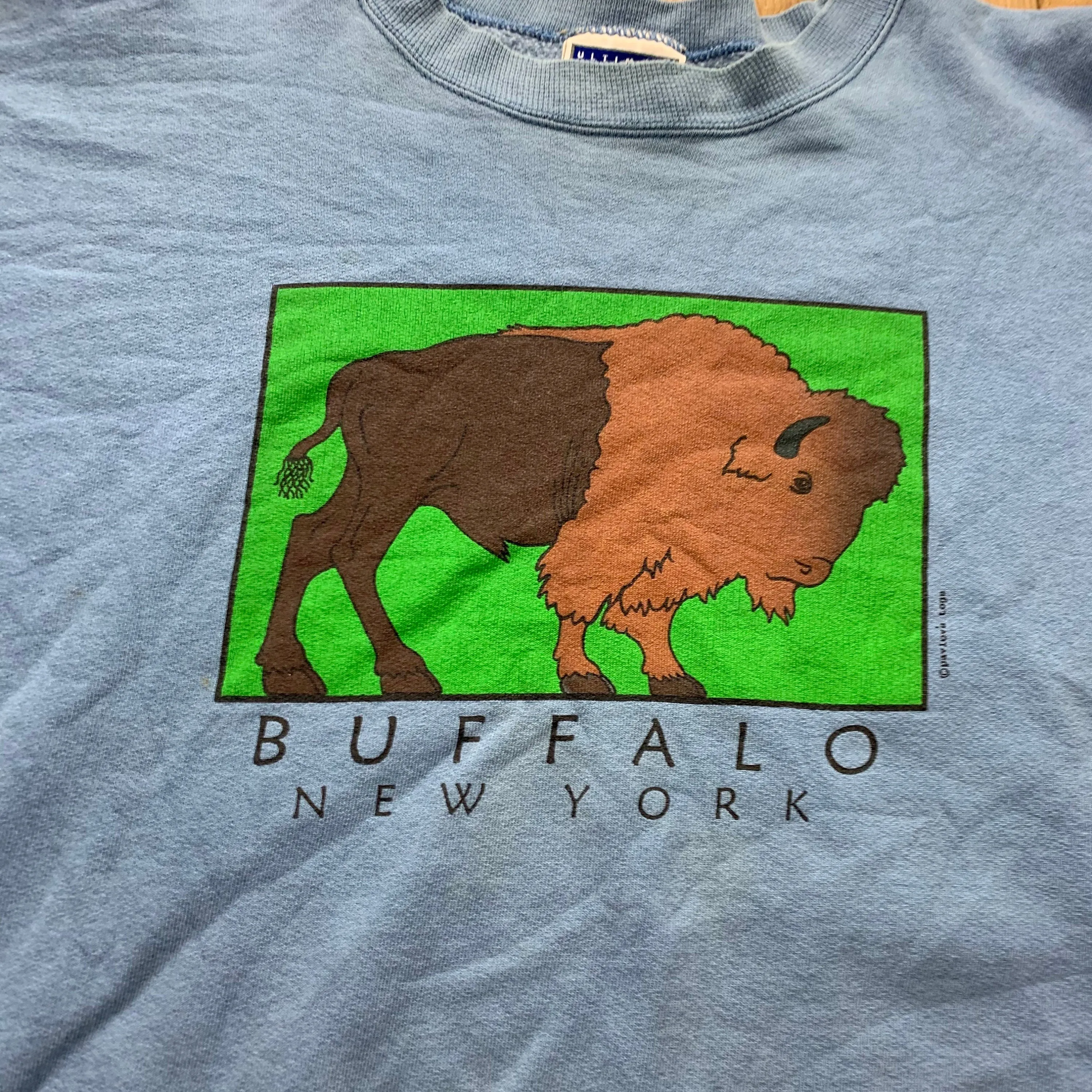 Vintage 90's Buffalo New York Crewneck