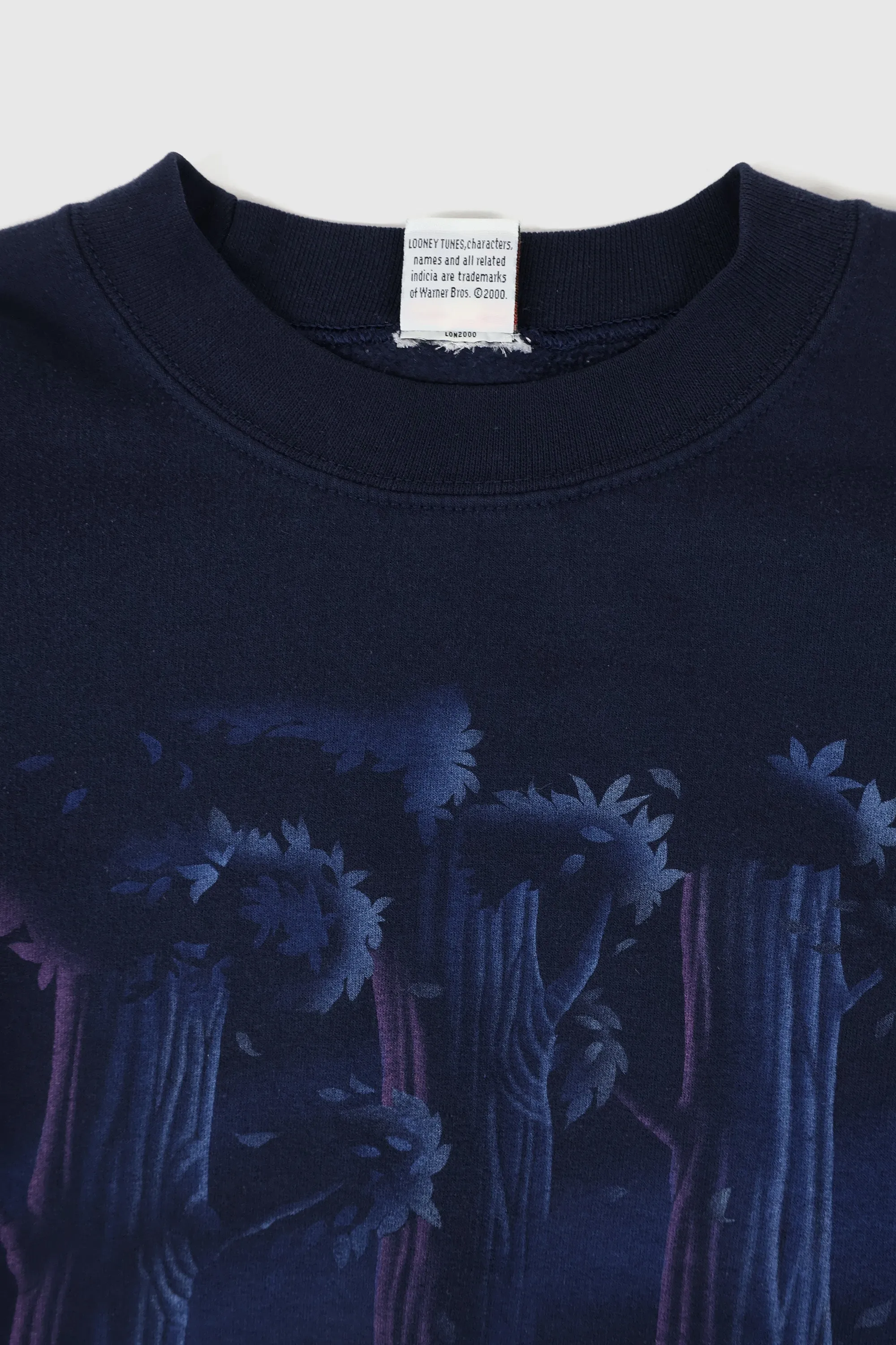 Vintage Embroidered Tweety Crewneck